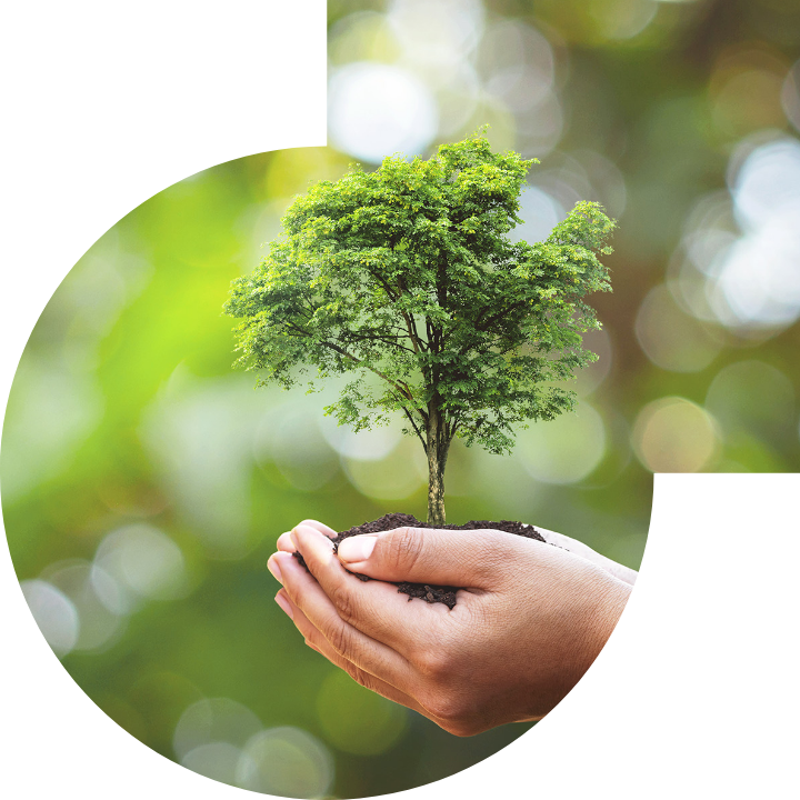 關懷人類、文化、環境與社會